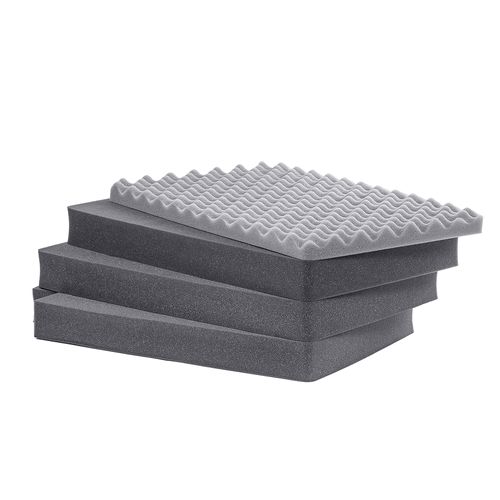 20181101-PatolaCases-PLF3831